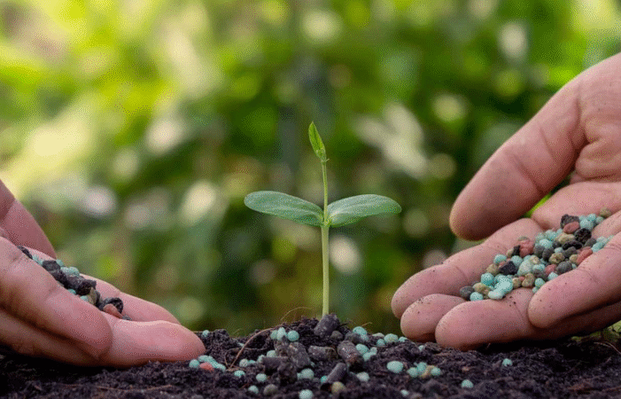 Organic Fertilizer Product