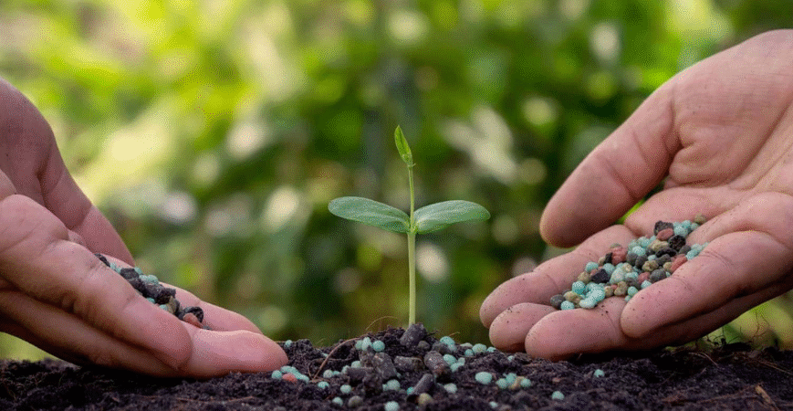 Organic Fertilizer Product