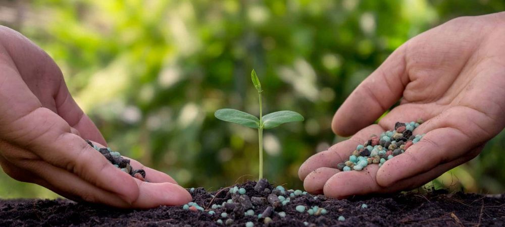 Organic Fertilizer Product