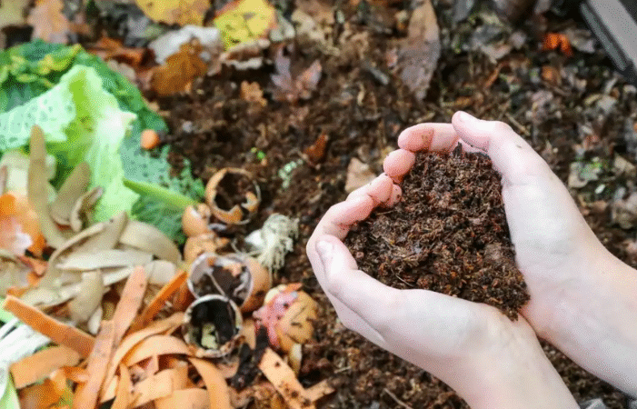 Composting-Yard