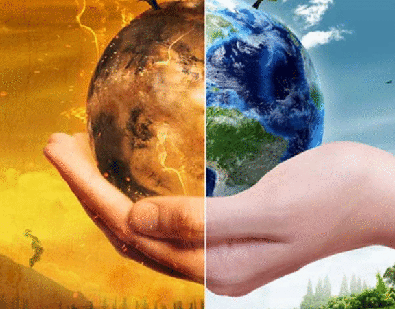 The Future of Organic Farming : How Greenway Fertilizers Supports Sustainable Agriculture