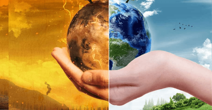 The Future of Organic Farming : How Greenway Fertilizers Supports Sustainable Agriculture